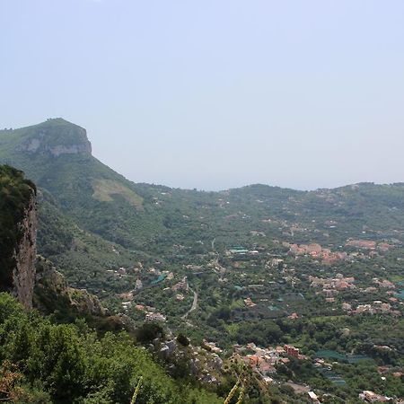 B&B Villa Ursa Major Vico Equense Εξωτερικό φωτογραφία